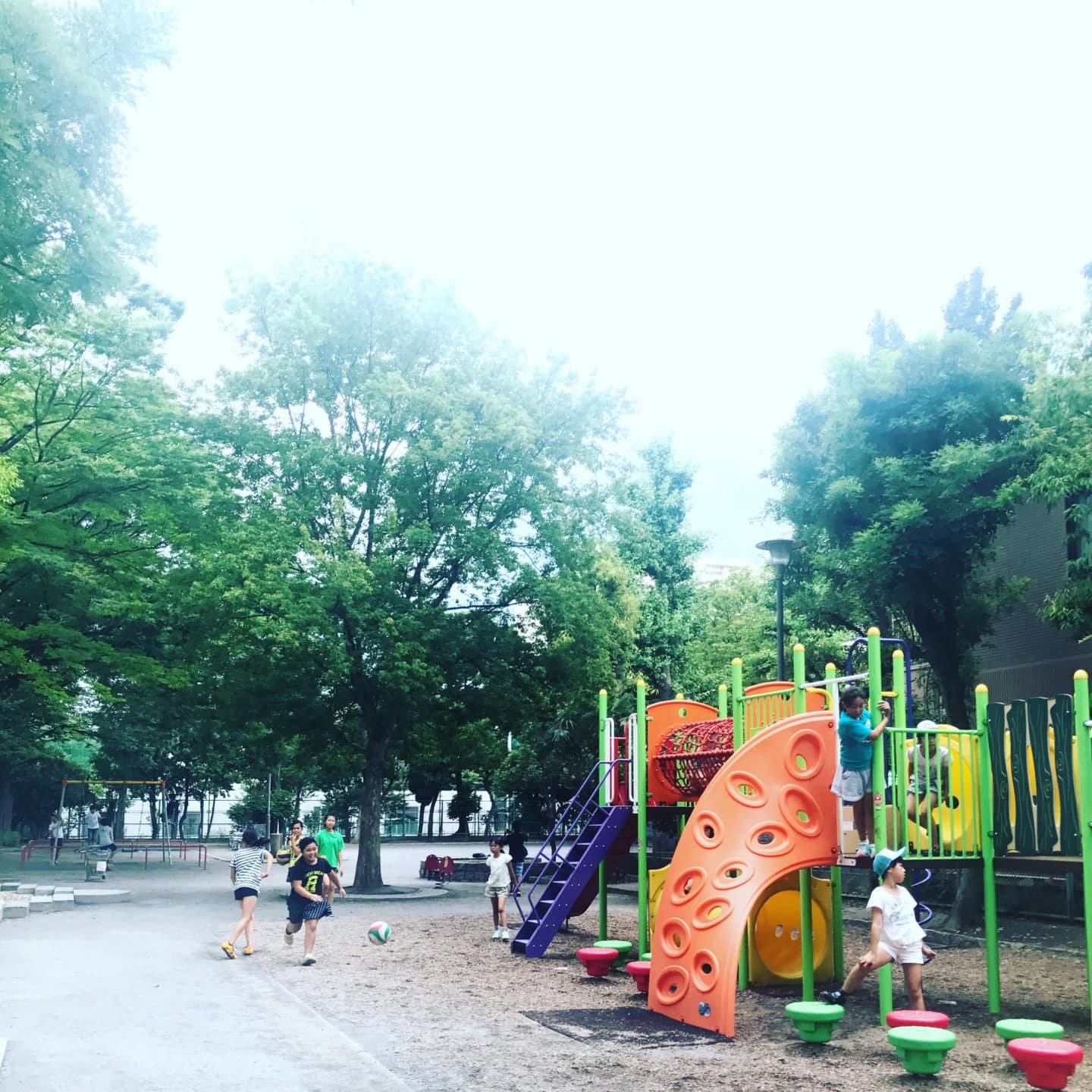 🏞️ 피로야마 공원 (히로야마 공원) 이미지 4